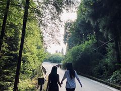 -山王坪喀斯特国家生态公园