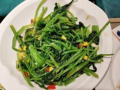 八宝有机菠菜-宝轩渔府·老字号海鲜·正宗津菜(水上店)