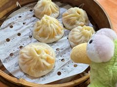 -莱莱小笼·乔艾