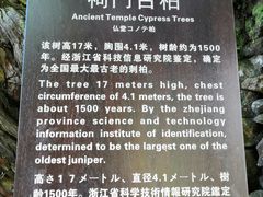 -云中大漈