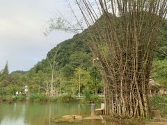-靖西鹅泉风景区
