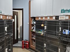 -瑞派·关忠动物医院·异宠专科·犬猫肿瘤·皮肤专科(望京店)