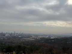 -白水寺森林公园
