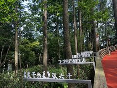 -莫干山风景区