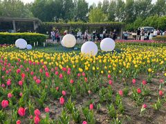 -长春公园(普阳街道)