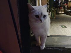 -后院儿·精酿·塔罗Happy Bar