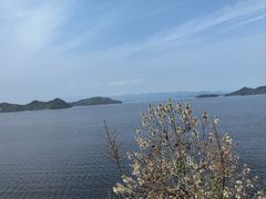 -浔味·山屿湖·正宗淳牌全鱼宴老字号