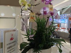 -福田卓悦INTOWN购物中心