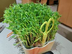 现剪现吃豌豆苗-海底捞火锅(顺城购物中心店)
