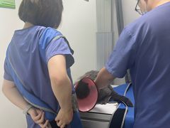 -半岛宠物医院24小时·内窥镜·牙科·碎石中心(府城大道店)