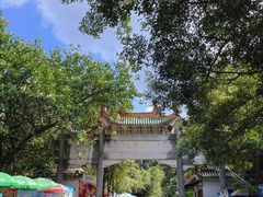 -南海湾森林生态园