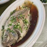 在深圳❗肉肉都拒绝不了的神仙客家菜