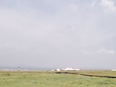 -敕勒川草原