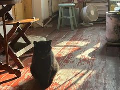 -春风十里咖啡馆