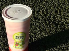 -吴山山·椰子酸奶(天河南店)