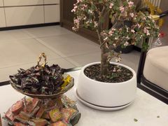 -正清和·推拿养生(二七广场店)