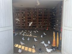 -在海一方公园
