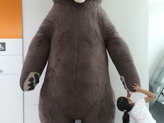 -济州岛泰迪熊博物馆