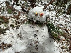 -山王坪喀斯特国家生态公园
