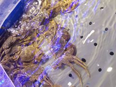 -澜悦港海鲜体验主题餐厅