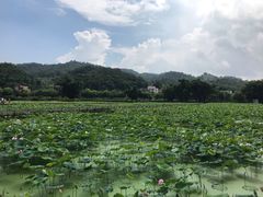 -红山村