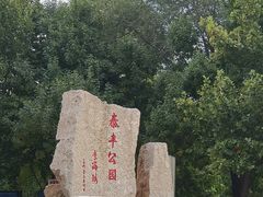 -泰丰公园