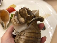 海螺-益利大酒楼(井岸店)