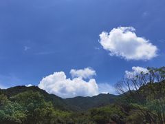 -北仑森林植物园