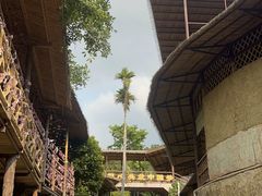 -海南槟榔谷黎苗文化旅游区