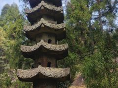 -玉苍山国家森林公园