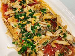 蛏子-沪碟·精菜坊(闵行店)