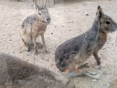 -北京世界公园