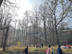 -阳台山自然风景区