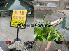 -西园戒幢律寺
