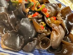 -百利鸽王(紫薇路店)