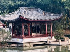 -汇龙潭