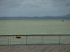 -贡湖湾湿地公园