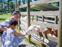 -前小桔亲子创意农场·草莓采摘·露营烧烤