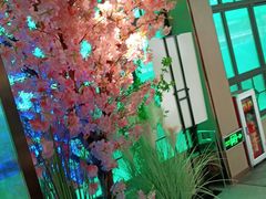-野妹火锅(龙岗店)