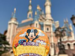 -上海迪士尼度假区