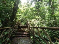 -海南热带雨林国家公园吊罗山景区