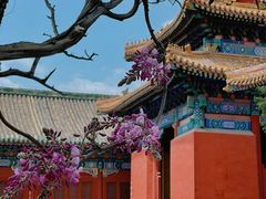 -北京国子监胡同
