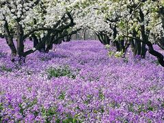 -江苏三台山国家森林公园