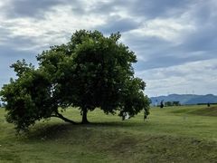 -良渚古城遗址公园