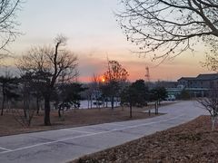 -北京西山国家森林公园