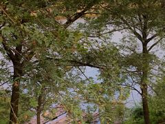 -楠溪江风景名胜区