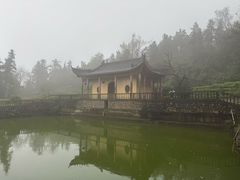 -冶父山国家森林公园