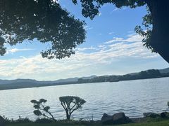 -浙江西子宾馆·牡丹厅