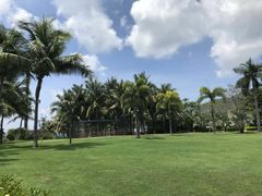 -宴悦海鲜餐厅·游水海鲜·牛排(亚龙湾瑞吉店)