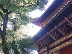 -柳侯公园